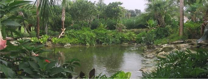 Proscape water Irrigation service Proscape water Irrigation service