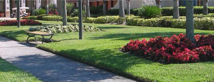 Commercial landscaping service Commercial landscaping service