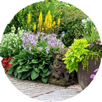 Landscape Renovation Service Landscape Renovation Service