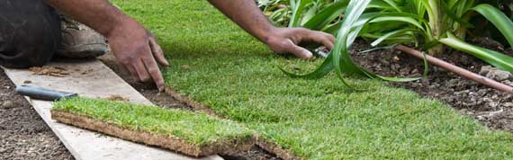 Latest Landscape Installation Service Latest Landscape installation service
