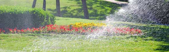 Landscape Irrigation Service Florida