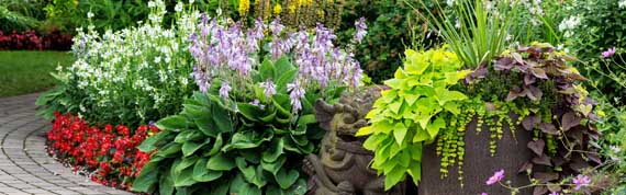 Landscape Renovation Service Technology based Landscape Renovation Service Provider